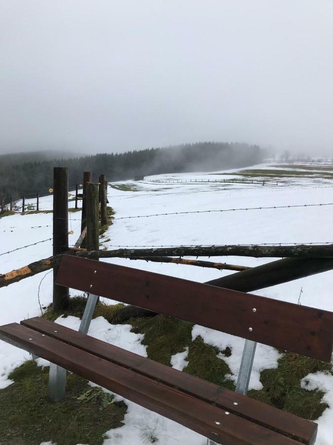 Ferienhaus Schneeweiss Winterberg Esterno foto