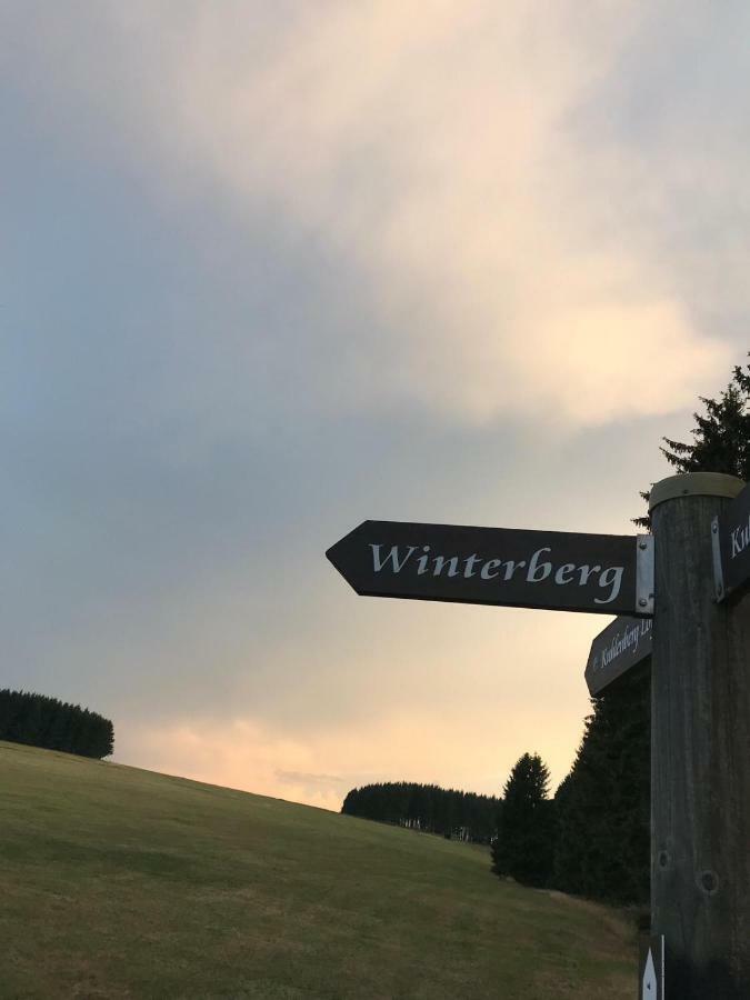 Ferienhaus Schneeweiss Winterberg Esterno foto