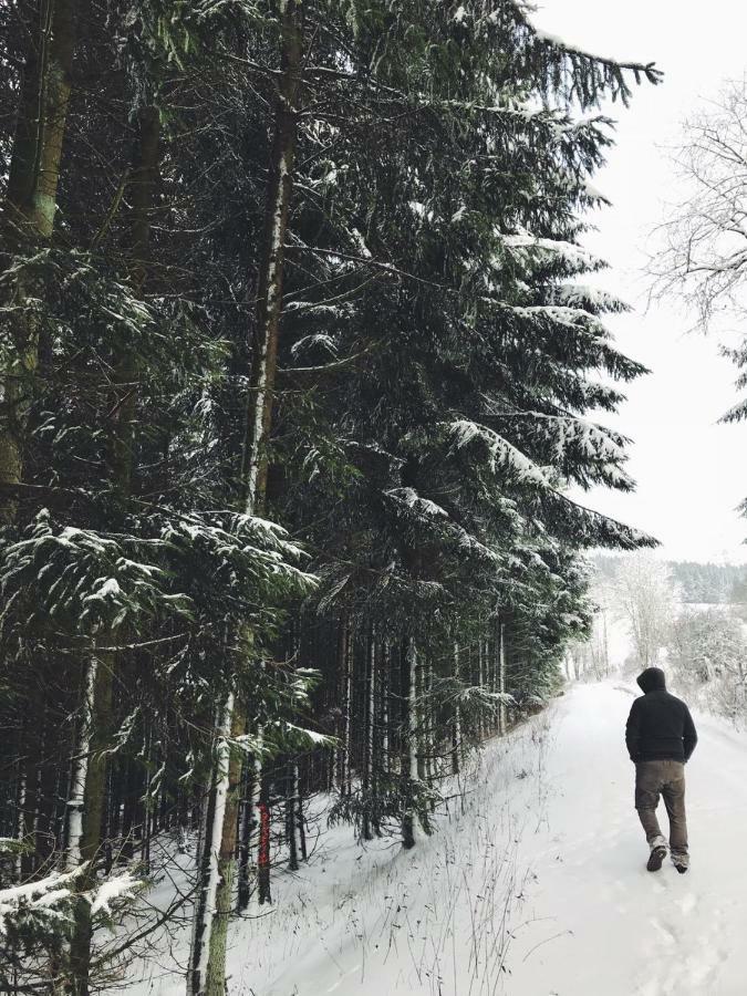 Ferienhaus Schneeweiss Winterberg Esterno foto