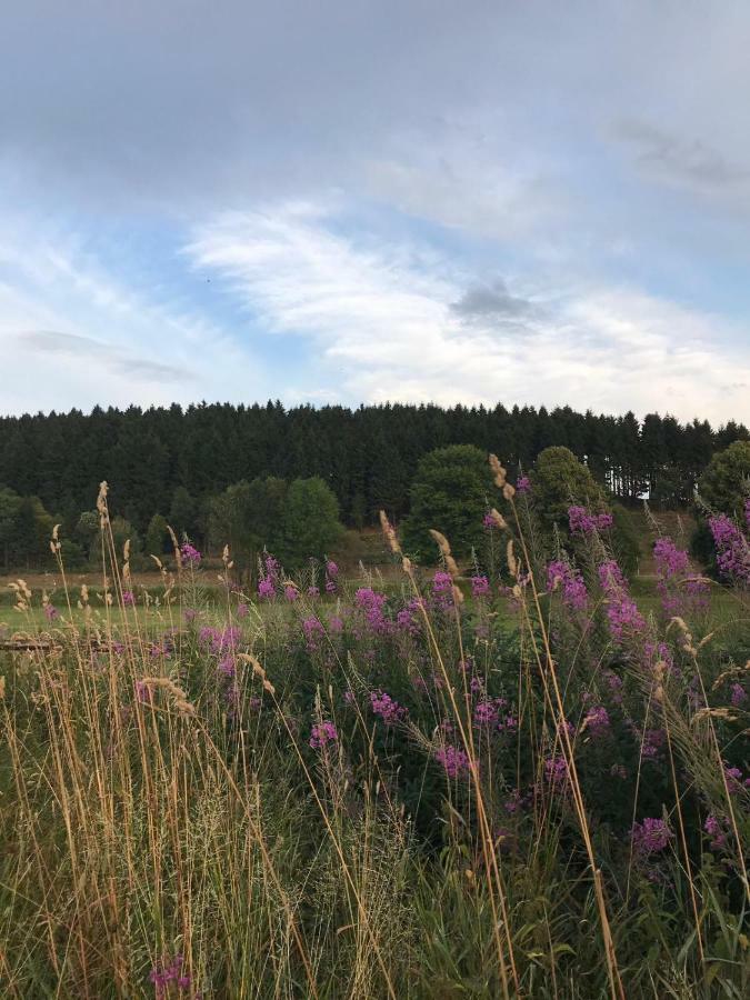 Ferienhaus Schneeweiss Winterberg Esterno foto